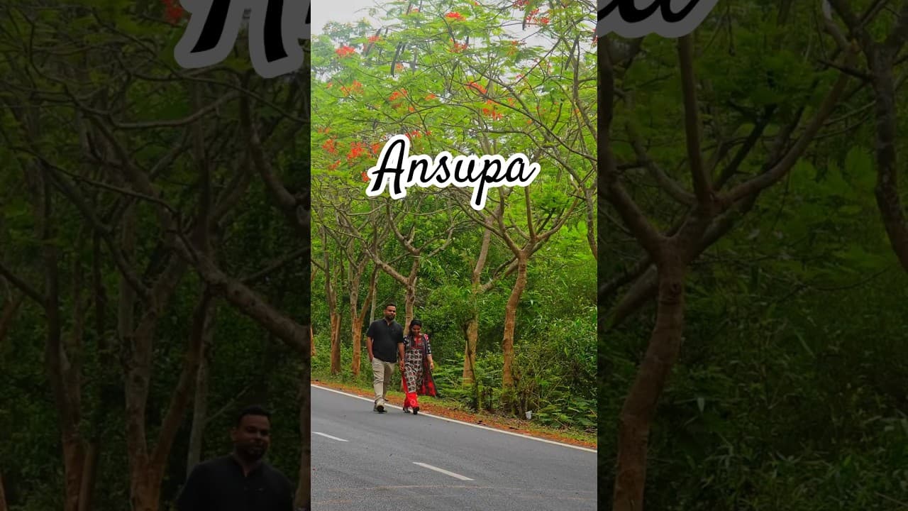 କଟକର ଏହି ଜାଗାଟା ସତରେ ଗୋଟେ hidden paradise… 🌿✨| Ansupa